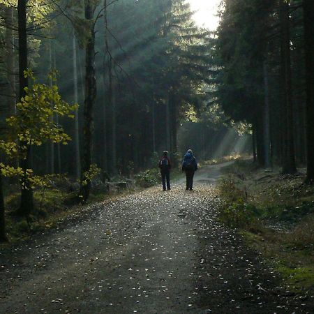 Zimmervermietung-Heide-Fiege Hartmannsdorf bei Chemnitz Luaran gambar